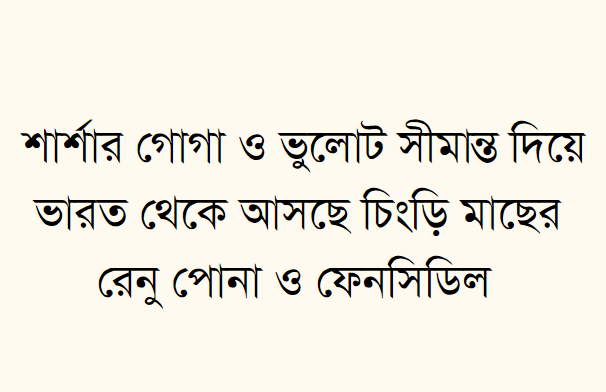 শার্শার গোগা ও ভুলোট সীমান্ত দিয়ে ভারত থেকে আসছে চিংড়ি মাছের রেনু পোনা ও ফেনসিডিল