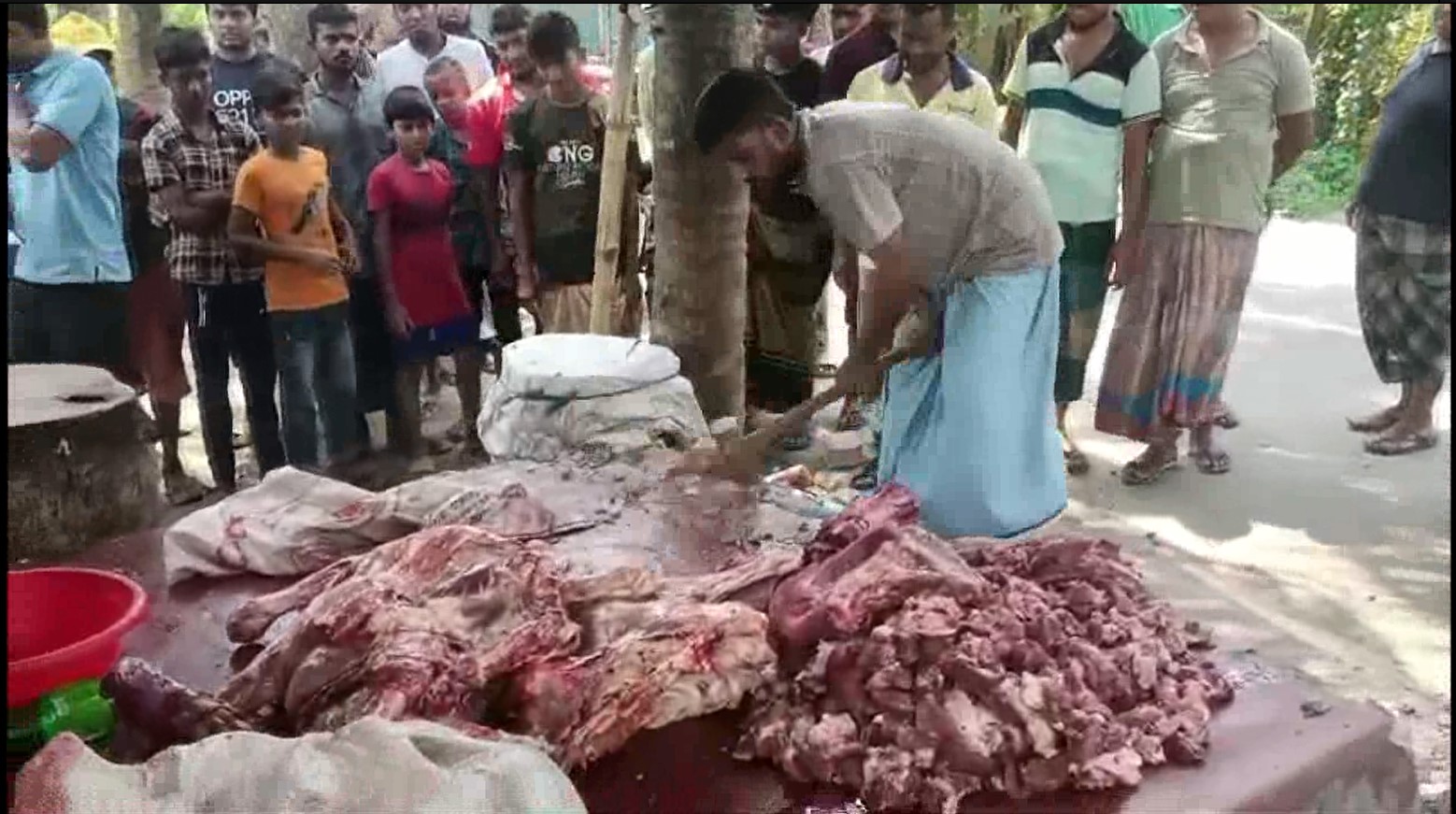 সাতক্ষীরার কালিগঞ্জে ১৬০ কেজি গরুর মাংস জব্দের পর তা বিনষ্ট