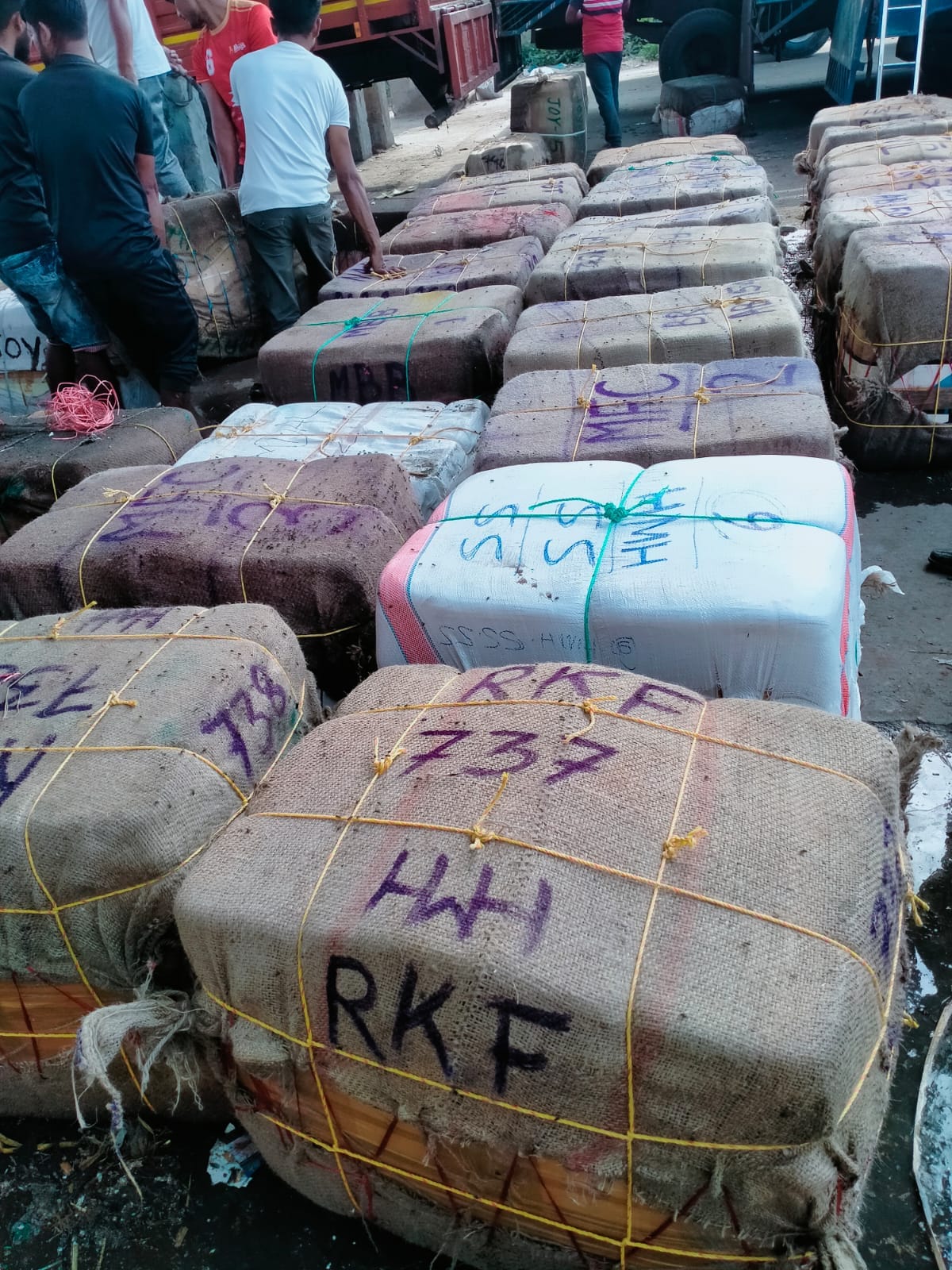 বেনাপোলে আমদানি নিষিদ্ধ চিংড়ি মাছ আটক